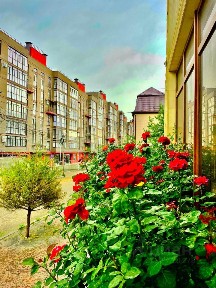 Сдается студия, 40 м²