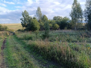 Продается участок, 19,81 сот.