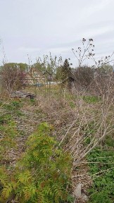 Продается участок, 6 сот.