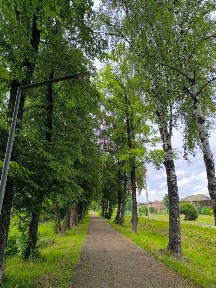 Продается участок, 10 сот.