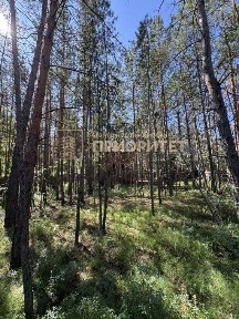 Продается 1-этажный дом, 29,7 м²