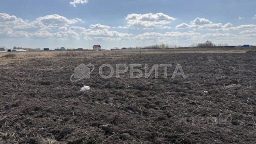 Тюменская область, Тюменский муниципальный округ, Борки село, ул. Филиновская