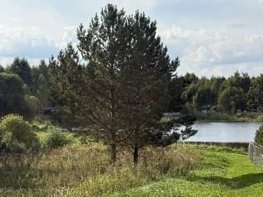 Продается участок, 20 сот.