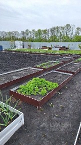 Продается участок, 10 сот.