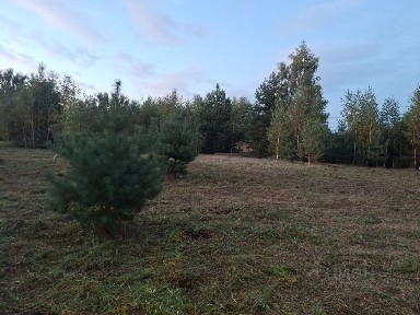Продается участок, 20,25 сот.