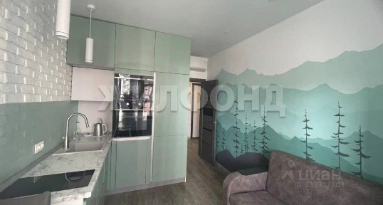 Новосибирская область, Новосибирск, р-н Железнодорожный, Железнодорожная ул., 15/1