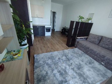 Сдается студия, 28,1 м²