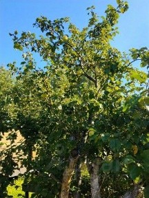 Продается 2-этажный дом, 65 м²