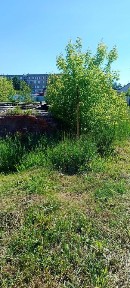 Продается участок, 15 сот.