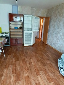 Новосибирская область, Новосибирск, р-н Октябрьский, мкр. Плющихинский, ул. Татьяны Снежиной, 49/2