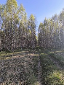 Продается участок, 4,1765 га