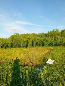 Продается участок, 10 сот.