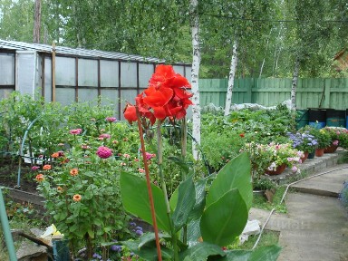 Продается 2-этажный дом, 40 м²