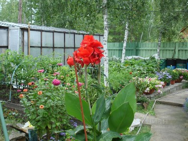 Продается 2-этажный дом, 40 м²