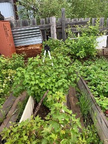 Продается участок, 3 сот.