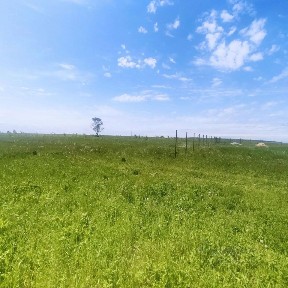 Продается участок, 13,56 сот.