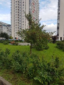 Сдается 1-комн. квартира, 35,3 м²