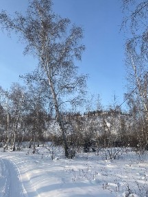 Продается участок, 14 сот.