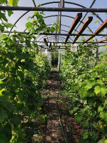 Продается 2-этажный дом, 188 м²