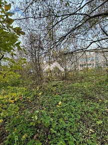 Ярославская область, Тутаевский муниципальный округ, Константиновский рп