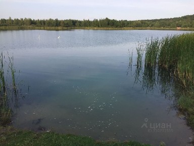 Продается участок, 63 сот.