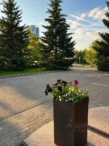 Продается многокомнатная квартира, 225 м²