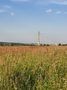 Продается участок, 10 сот.