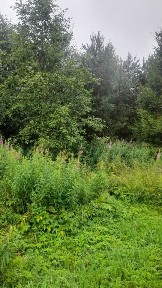 Продается участок, 12 сот.