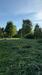 Продается участок, 58,3 сот.