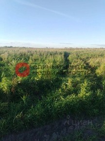 Продается участок, 10 сот.