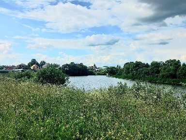 Продается участок, 12 сот.