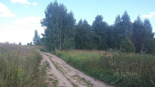 Продается участок, 11,6 га