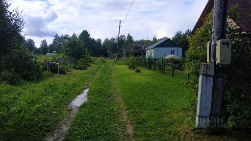 Ярославская область, Пошехонский муниципальный округ, Бабино деревня