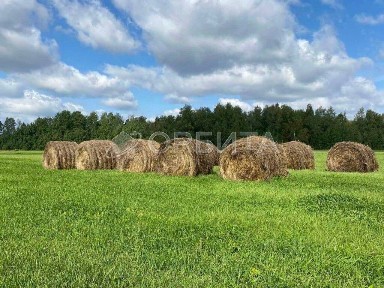 Продается участок, 500 сот.