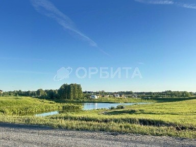Тюменская область, Тюменский муниципальный округ, Новокаменский коттеджный поселок, ул. Васнецова