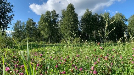 Тюменская область, Тюменский муниципальный округ, Червишевское муниципальное образование
