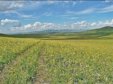 Продается готовый бизнес ⋅ ферма, 1 388 000 м²