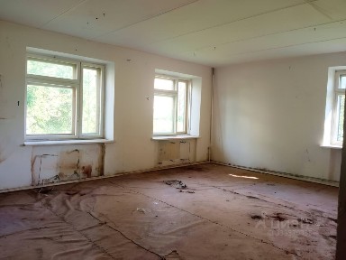 Владимирская область, Петушинский муниципальный округ, Костино деревня