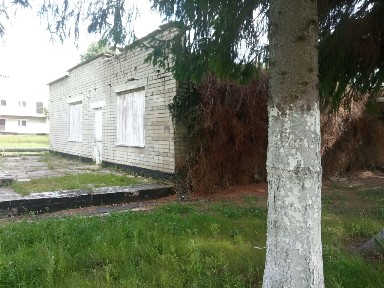 Владимирская область, Петушинский муниципальный округ, Костино деревня