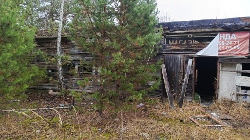 Владимирская область, Петушинский муниципальный округ, Костерево, Костерево-1 микрорайон, 486