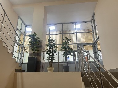Сдается офис, 398 м²