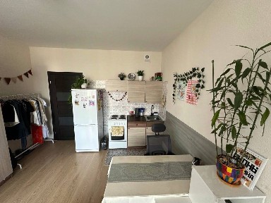 Сдается студия, 24,5 м²