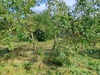 Продается участок, 6 сот.