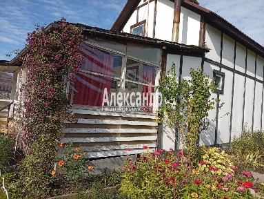 Ленинградская область, Кировское городское поселение, Беляевский Мох садоводческий массив, Маяк СНТ, 12-я линия