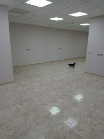 Сдается офис, 66,3 м²