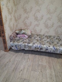 Сдается 2-комн. квартира, 55 м²