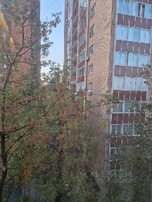 Продается 3-комн. квартира, 61,4 м²