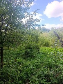 Продается участок, 5,6 сот.