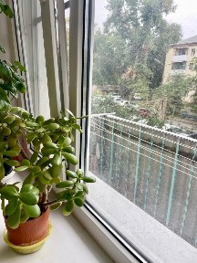 Продается 2-комн. квартира, 45 м²