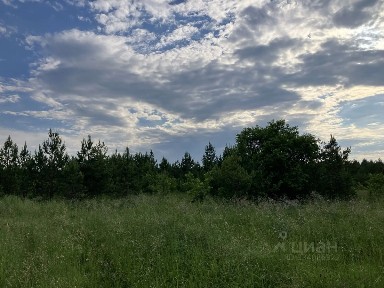 Продается участок, 25 сот.